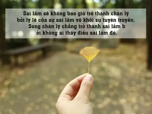 những câu nói về sự lựa chọn sai lầm