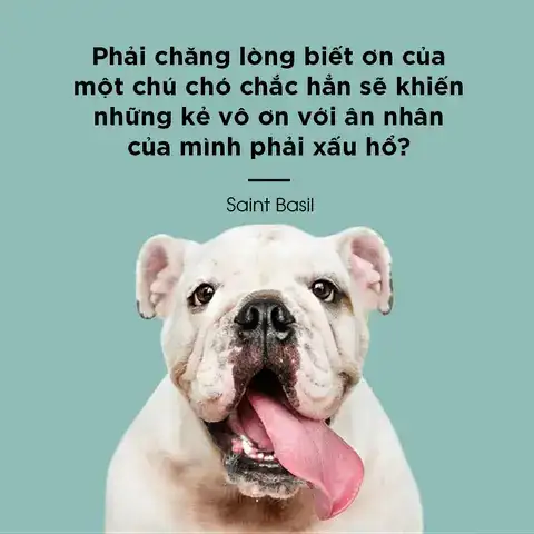những câu nói hay về kẻ vô ơn