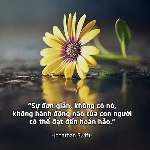 câu nói về sự hoàn hảo