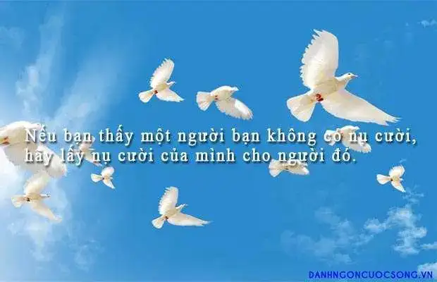 câu nói về nụ cười và nước mắt