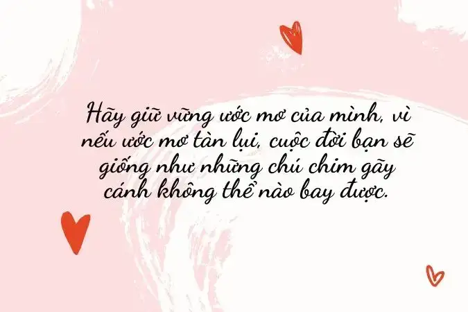 những câu nói gây tò mò