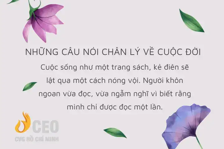 những câu nói chân lý cuộc sống