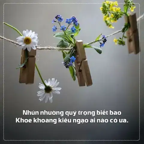 những câu nói về khiêm tốn