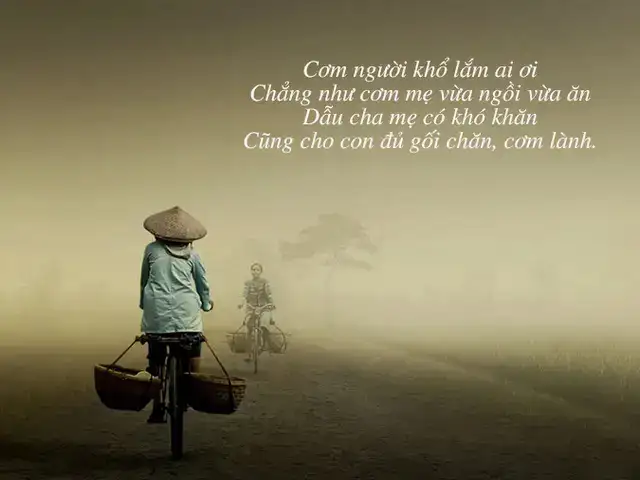 câu nói về bố