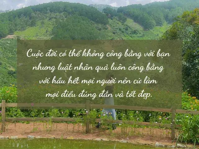 những câu nói cay đắng về cuộc sống