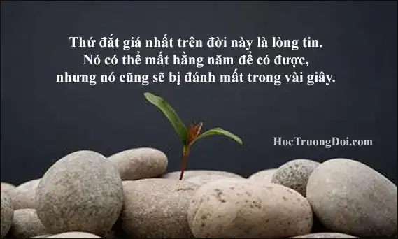 câu nói về lòng tin