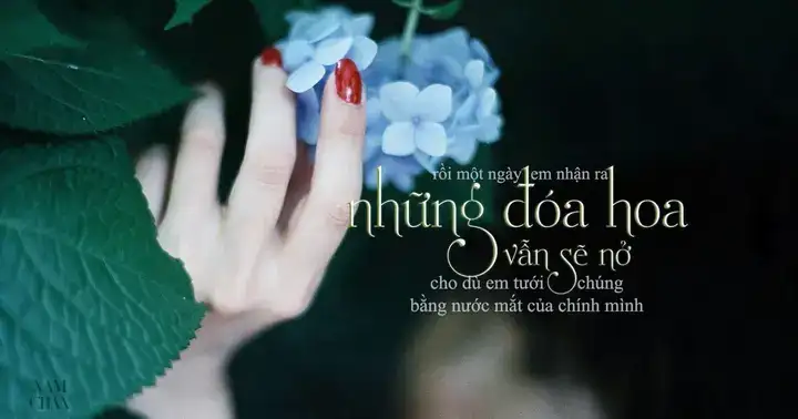 câu nói stt hay về cuộc sống