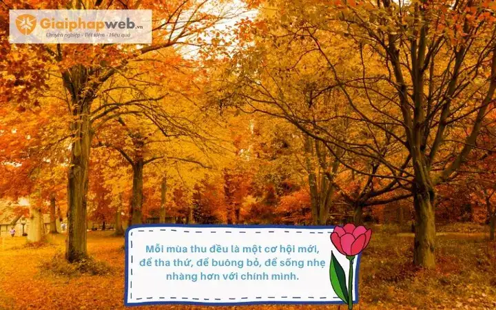câu nói hay về mùa thu đông