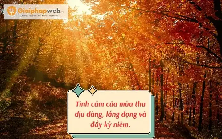 câu nói hay về mùa thu đông