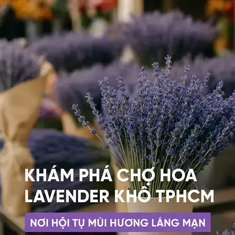câu nói hay về hoa lavender