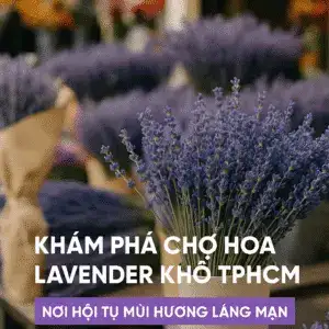 câu nói hay về hoa lavender
