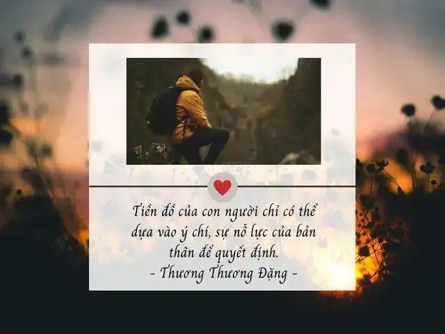 câu nói về số phận