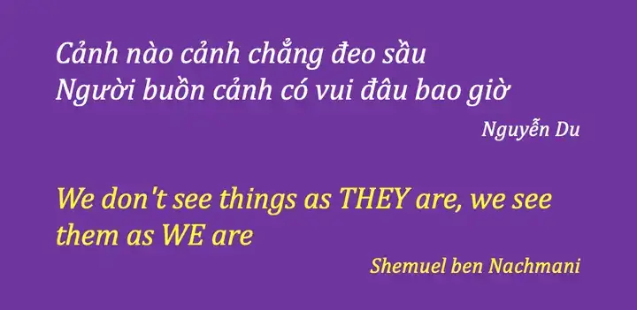 câu nói người buồn cảnh có vui đâu bao giờ