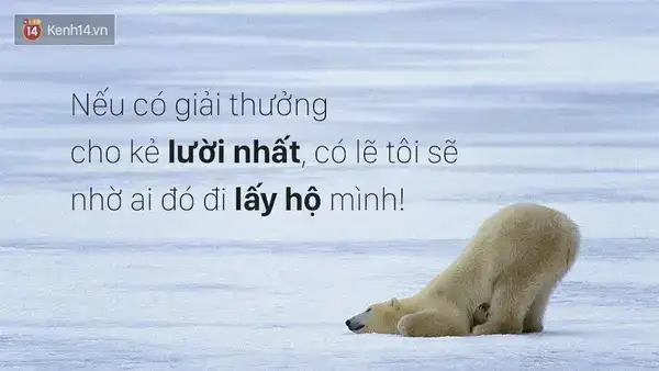 câu nói hài hước về lười biếng