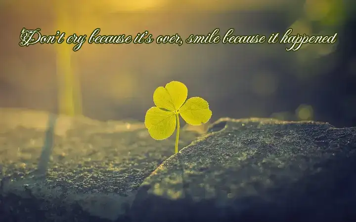 câu nói tâm đắc về cuộc sống