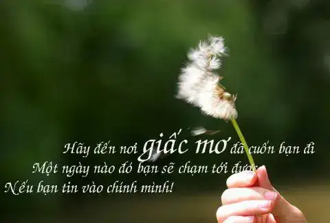 câu nói hay về sống hết mình