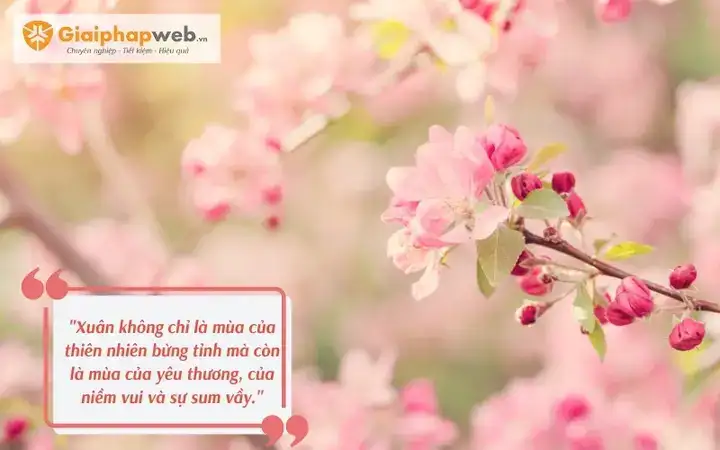 câu nói hay về quả cherry