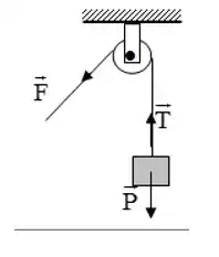 câu nói nào đúng về ròng rọc cố định