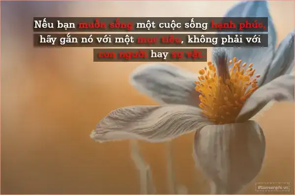 câu nói hay về cuộc sống muôn màu câu nói hay về cuộc sống muôn màu