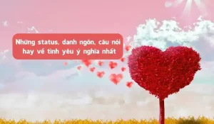 câu nói sốc về tình yêu