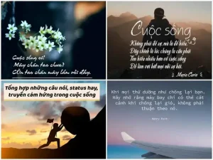 câu nói cuộc sống mà