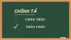 chân trâu hay trân châu