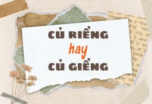 củ riềng hay củ giềng