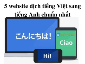 dịch câu nói tiếng việt sang tiếng anh