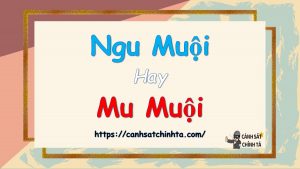 Ngu muội hay Mu muội