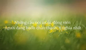 những câu nói ẩn ý buồn