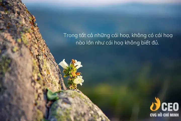 những câu nói an ý