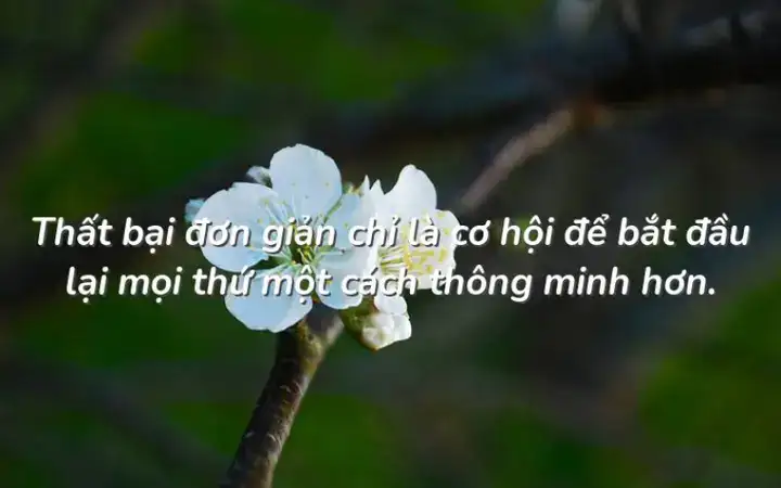 những câu nói bất hủ trong lịch sử việt nam