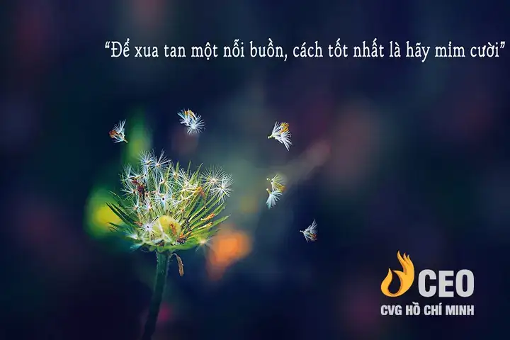 những câu nói buồn cười về cuộc sống