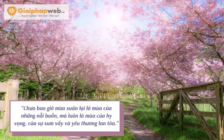 những câu nói buồn về mùa xuân