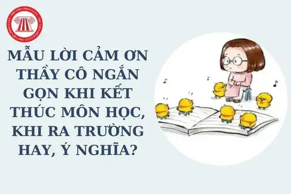 những câu nói cảm on thầy cô