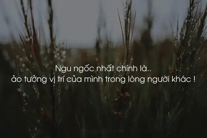 những câu nói đáng yêu