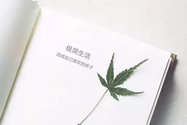 những câu nói hay bằng tiếng trung quốc