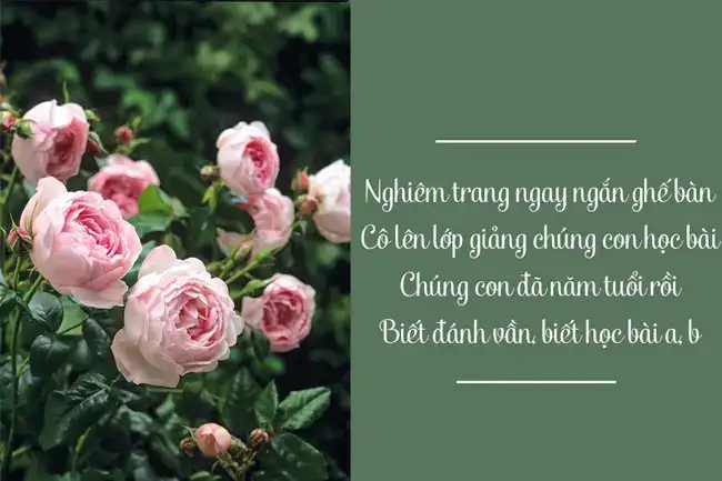ngắn những câu nói hay về thầy cô