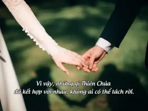 câu nói hay về công chúa