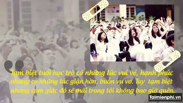 những câu nói hay về cuối cấp