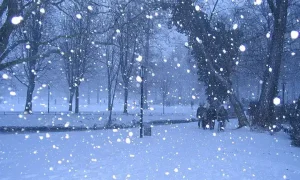 câu nói hay về tuyết đầu mùa