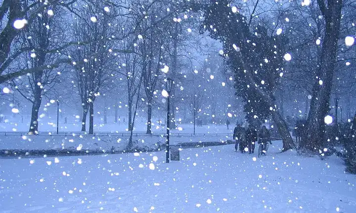 câu nói hay về tuyết đầu mùa