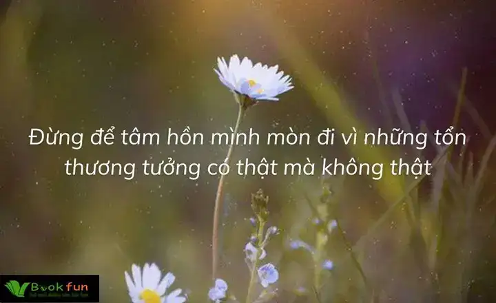 những câu nói hay về vẻ đẹp tâm hồn