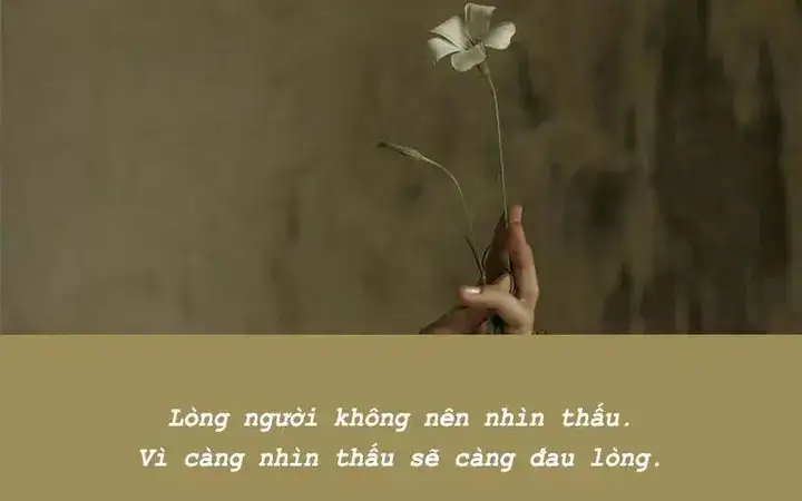 những câu nói phủ phàng trong tình yêu