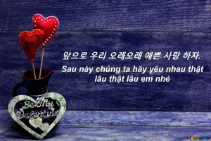 những câu nói tiếng hàn hay về tình yêu buồn