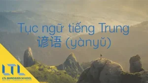 những câu nói tục tĩu