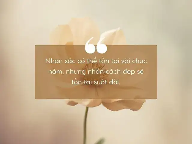 những câu nói về nhan sắc