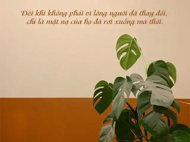 những câu nói về sự thay đổi của lòng người