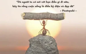 những câu nói về suy nghĩ tích cực