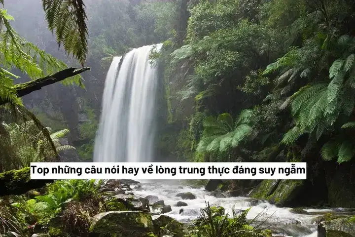 câu nói về ý thức